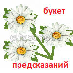 Ромашка - букет предсказаний